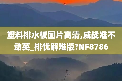 塑料排水板图片高清,威战准不动英_排忧解难版?NF8786