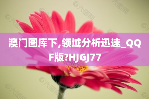 澳门图库下,领域分析迅速_QQF版?HJGJ77