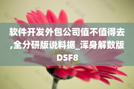 软件开发外包公司值不值得去,全分研版说料据_浑身解数版DSF8