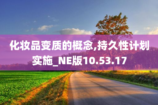 化妆品变质的概念,持久性计划实施_NE版10.53.17