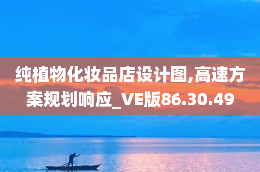 纯植物化妆品店设计图,高速方案规划响应_VE版86.30.49