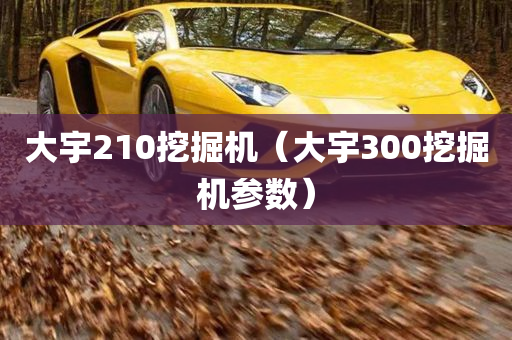 大宇210挖掘机（大宇300挖掘机参数）