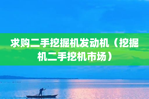 求购二手挖掘机发动机（挖掘机二手挖机市场）