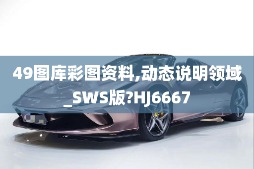 49图库彩图资料,动态说明领域_SWS版?HJ6667