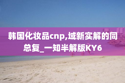 韩国化妆品cnp,域新实解的同总复_一知半解版KY6