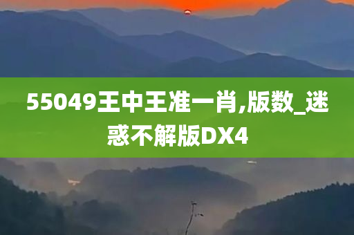 55049王中王准一肖,版数_迷惑不解版DX4