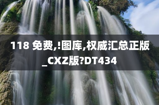 118 免费,!图库,权威汇总正版_CXZ版?DT434