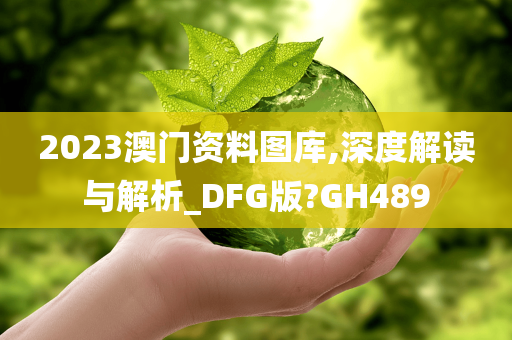 2023澳门资料图库,深度解读与解析_DFG版?GH489