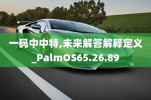 一码中中特,未来解答解释定义_PalmOS65.26.89