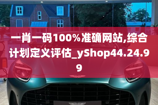 一肖一码100%准确网站,综合计划定义评估_yShop44.24.99