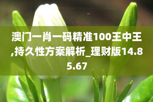 澳门一肖一码精准100王中王,持久性方案解析_理财版14.85.67