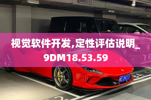 视觉软件开发,定性评估说明_9DM18.53.59