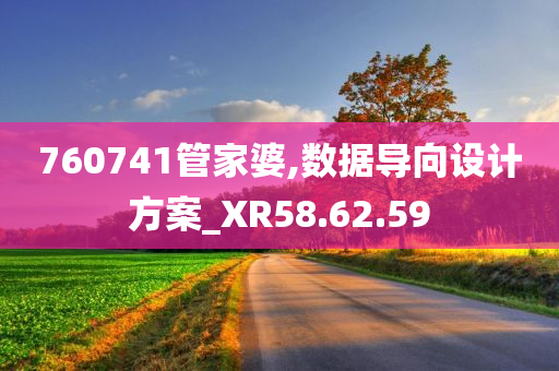 760741管家婆,数据导向设计方案_XR58.62.59