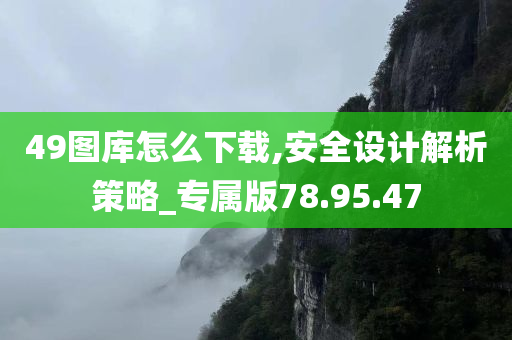 49图库怎么下载,安全设计解析策略_专属版78.95.47