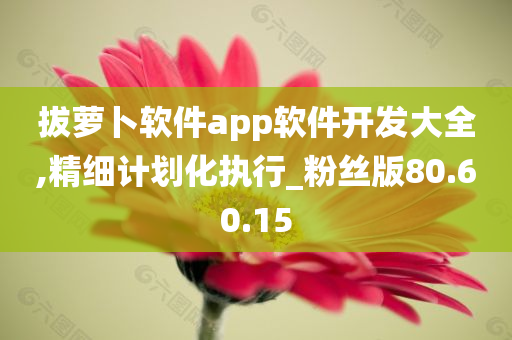 拔萝卜软件app软件开发大全,精细计划化执行_粉丝版80.60.15