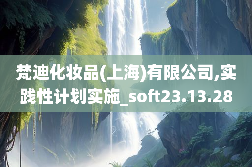 梵迪化妆品(上海)有限公司,实践性计划实施_soft23.13.28