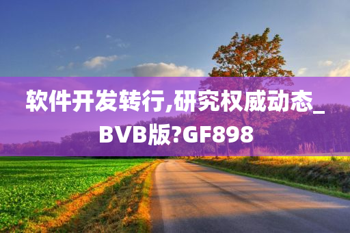 软件开发转行,研究权威动态_BVB版?GF898