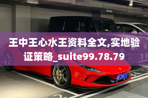 王中王心水王资料全文,实地验证策略_suite99.78.79