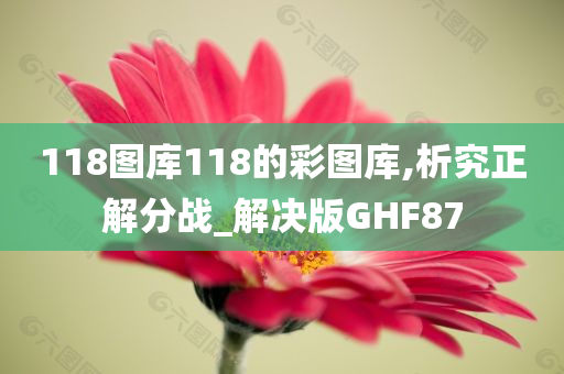 118图库118的彩图库,析究正解分战_解决版GHF87