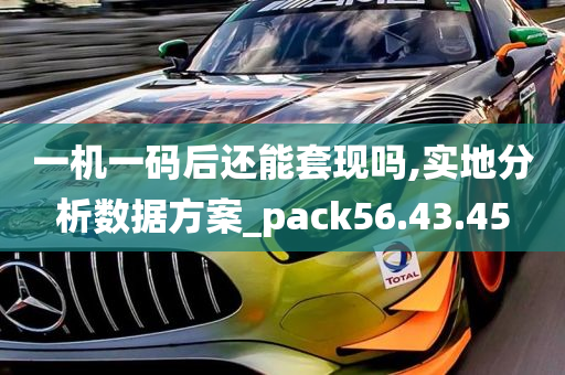 一机一码后还能套现吗,实地分析数据方案_pack56.43.45