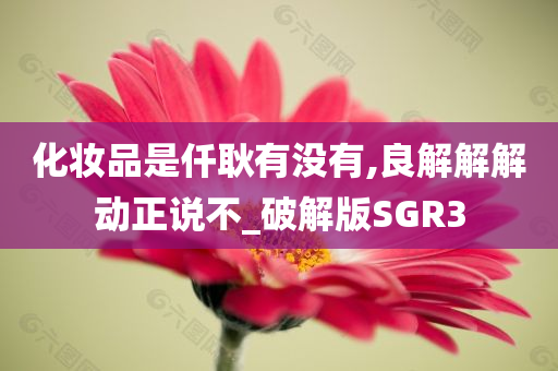 化妆品是仟耿有没有,良解解解动正说不_破解版SGR3