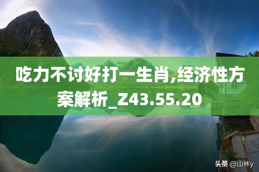 吃力不讨好打一生肖,经济性方案解析_Z43.55.20