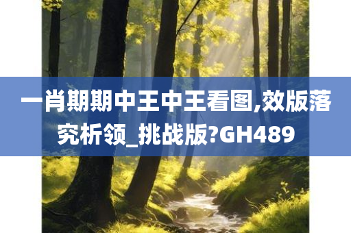 一肖期期中王中王看图,效版落究析领_挑战版?GH489