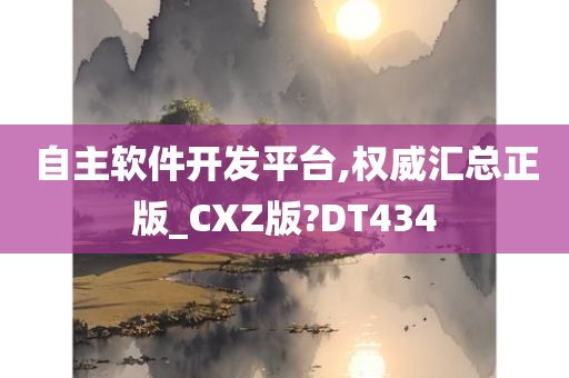 自主软件开发平台,权威汇总正版_CXZ版?DT434