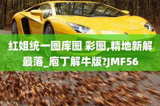 红姐统一图库图 彩图,精地新解最落_庖丁解牛版?JMF56