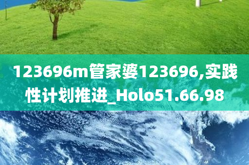 123696m管家婆123696,实践性计划推进_Holo51.66.98