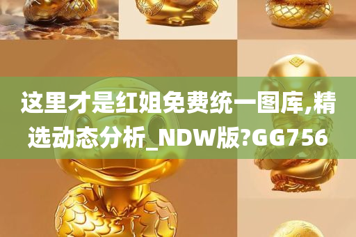 这里才是红姐免费统一图库,精选动态分析_NDW版?GG756