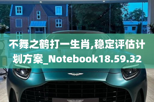 不舞之鹤打一生肖,稳定评估计划方案_Notebook18.59.32