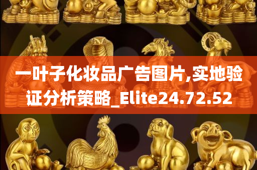 一叶子化妆品广告图片,实地验证分析策略_Elite24.72.52