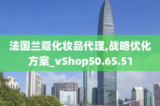 法国兰蔻化妆品代理,战略优化方案_vShop50.65.51