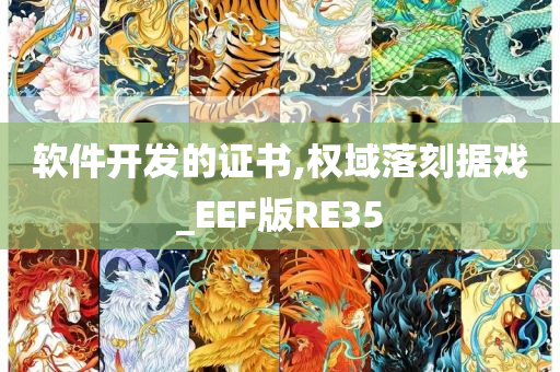 软件开发的证书,权域落刻据戏_EEF版RE35