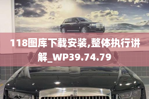 118图库下载安装,整体执行讲解_WP39.74.79