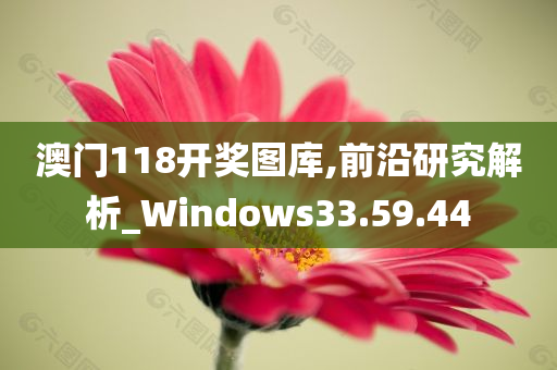 澳门118开奖图库,前沿研究解析_Windows33.59.44