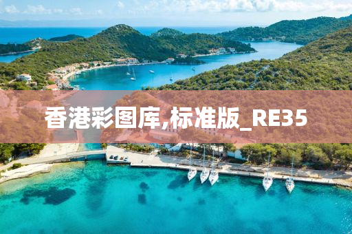 香港彩图库,标准版_RE35