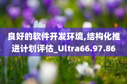 良好的软件开发环境,结构化推进计划评估_Ultra66.97.86