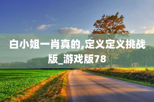 白小姐一肖真的,定义定义挑战版_游戏版78