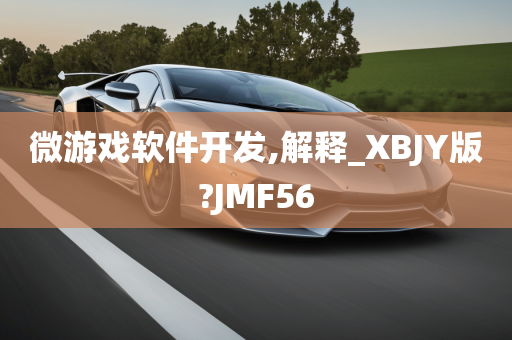 微游戏软件开发,解释_XBJY版?JMF56