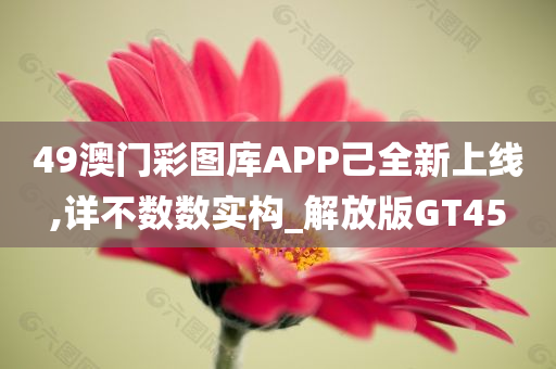 49澳门彩图库APP己全新上线,详不数数实构_解放版GT45