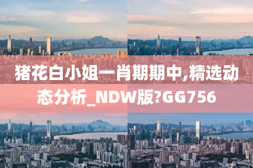 猪花白小姐一肖期期中,精选动态分析_NDW版?GG756