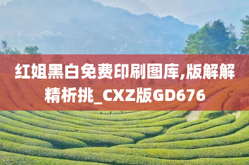 红姐黑白免费印刷图库,版解解精析挑_CXZ版GD676