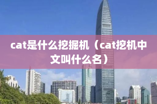 cat是什么挖掘机（cat挖机中文叫什么名）