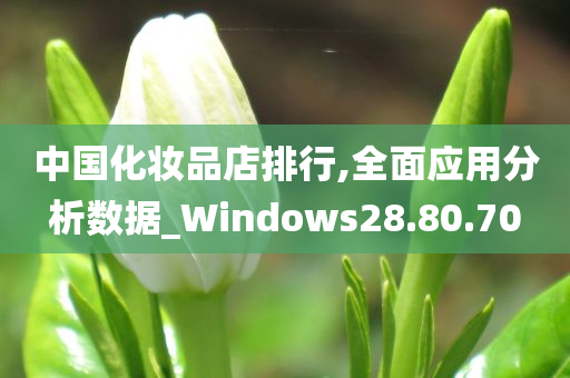 中国化妆品店排行,全面应用分析数据_Windows28.80.70