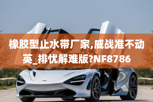 橡胶型止水带厂家,威战准不动英_排忧解难版?NF8786