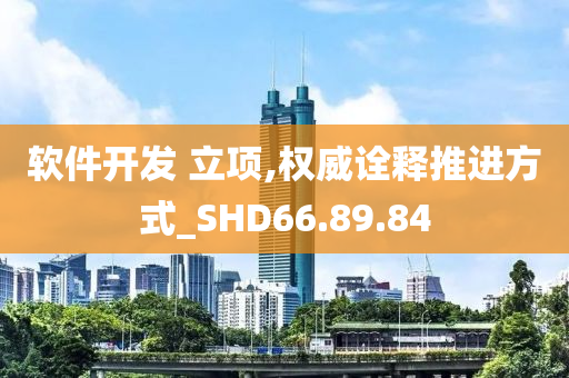 软件开发 立项,权威诠释推进方式_SHD66.89.84