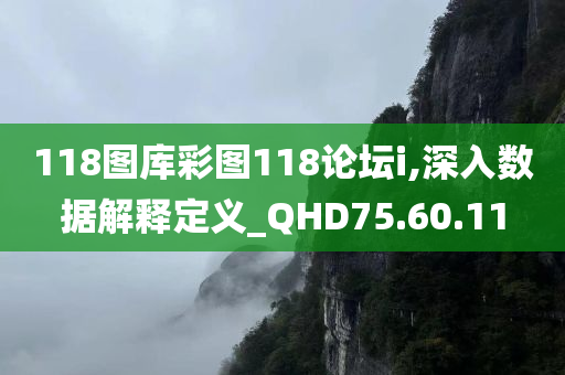 118图库彩图118论坛i,深入数据解释定义_QHD75.60.11