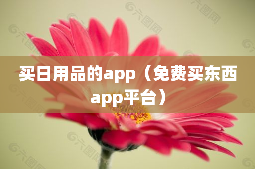 买日用品的app（免费买东西app平台）